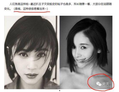 明星黑料最新,明星黑料曝光，真相背后引人深思-第1张图片-午夜成人福利影院