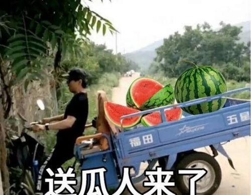 最近大瓜事件,揭秘明星隐私风波背后的真相-第1张图片-午夜成人福利影院