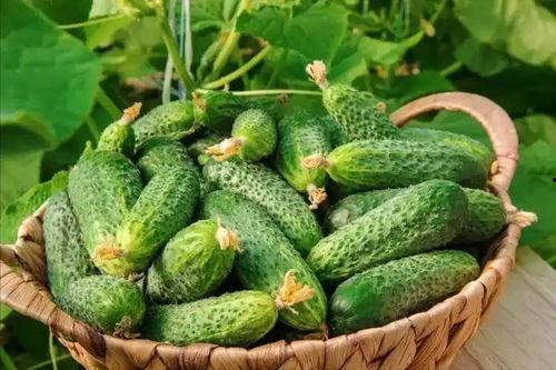 最近大瓜事件,揭秘明星隐私风波背后的真相-第2张图片-午夜成人福利影院