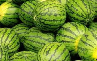 吃瓜网官网免费观看 吃瓜网官网,免费观看，畅享娱乐盛宴-第2张图片-午夜成人福利影院