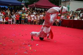 成人学武术的视频,跟随武术视频轻松入门-第2张图片-午夜成人福利影院