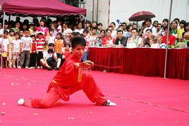 成人学武术的视频,跟随武术视频轻松入门-第3张图片-午夜成人福利影院