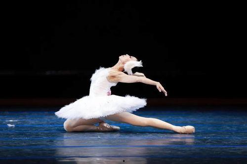 芭蕾成人业余独舞视频-第2张图片-午夜成人福利影院 芭蕾成人业余独舞视频-第2张图片-午夜成人福利影院