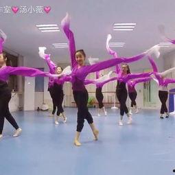 成人练的舞蹈视频,揭秘成人舞蹈的魅力与技巧-第3张图片-午夜成人福利影院