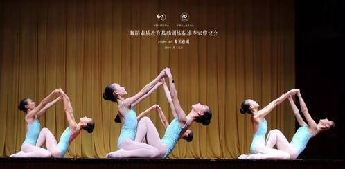 成人舞蹈草花教学视频,成人舞蹈草花教学视频精华解析-第1张图片-午夜成人福利影院