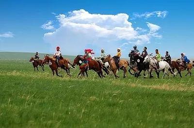 成人骑马比赛视频大全,成人骑马比赛视频大全集锦-第2张图片-午夜成人福利影院