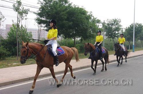 成人骑马比赛视频大全,成人骑马比赛视频大全集锦-第3张图片-午夜成人福利影院