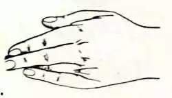 成人训练手指灵活度视频,提升手指灵活度的成人训练视频攻略-第3张图片-午夜成人福利影院 成人训练手指灵活度视频,提升手指灵活度的成人训练视频攻略-第3张图片-午夜成人福利影院