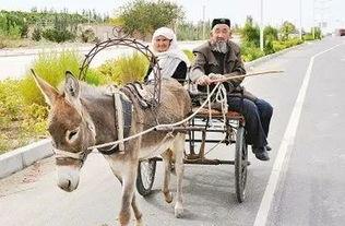 新疆成人礼毛驴视频-第1张图片-午夜成人福利影院 新疆成人礼毛驴视频-第1张图片-午夜成人福利影院