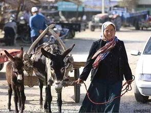 新疆成人礼毛驴视频-第2张图片-午夜成人福利影院 新疆成人礼毛驴视频-第2张图片-午夜成人福利影院