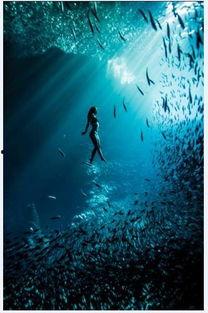 变成人鱼怎么养大的视频,揭秘人鱼养护全攻略-第2张图片-午夜成人福利影院 变成人鱼怎么养大的视频,揭秘人鱼养护全攻略-第2张图片-午夜成人福利影院