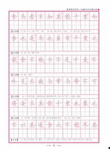 描红字帖成人技巧视频大全,轻松掌握书法艺术的奥秘-第2张图片-午夜成人福利影院