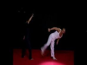 武术课教学视频成人版,成人版实战技巧解析-第2张图片-午夜成人福利影院