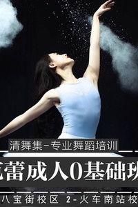 初级成人跳舞视频大全集,轻松学会舞动人生-第2张图片-午夜成人福利影院