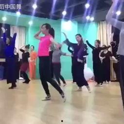 初级成人跳舞视频大全集,轻松学会舞动人生-第3张图片-午夜成人福利影院