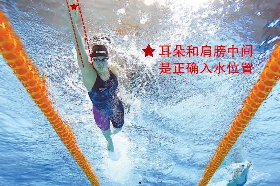 自由泳成人游泳教程视频,成人游泳入门必备技巧解析-第3张图片-午夜成人福利影院