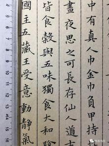 成人小楷入门怎么写字视频,跟随视频轻松掌握书写技巧-第2张图片-午夜成人福利影院