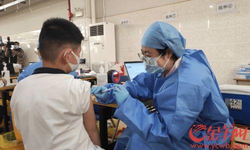 成人打疫苗全过程视频,从预约到接种，一图看懂成人疫苗接种全过程-第2张图片-午夜成人福利影院