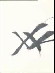 成人效果练字视频大全-第2张图片-午夜成人福利影院