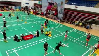羽毛球成人打球视频,成人球场激情瞬间回顾-第1张图片-午夜成人福利影院