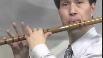 笛子初学成人指导视频-第3张图片-午夜成人福利影院
